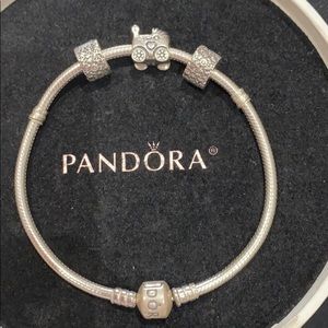 Bundle of Pandora Charms and bracelet